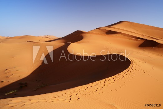 Picture of Morocco Sand dunes of Sahara desert